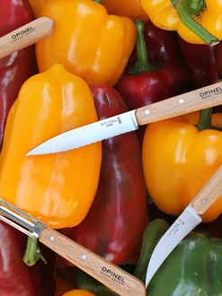 Coffret les essentiels du cuisinier naturel - oyoy