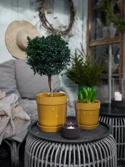 Pot plante m gres moutarde gres 17x19cm ...