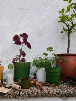 Pot plante m gres moutarde gres 17x19cm ...