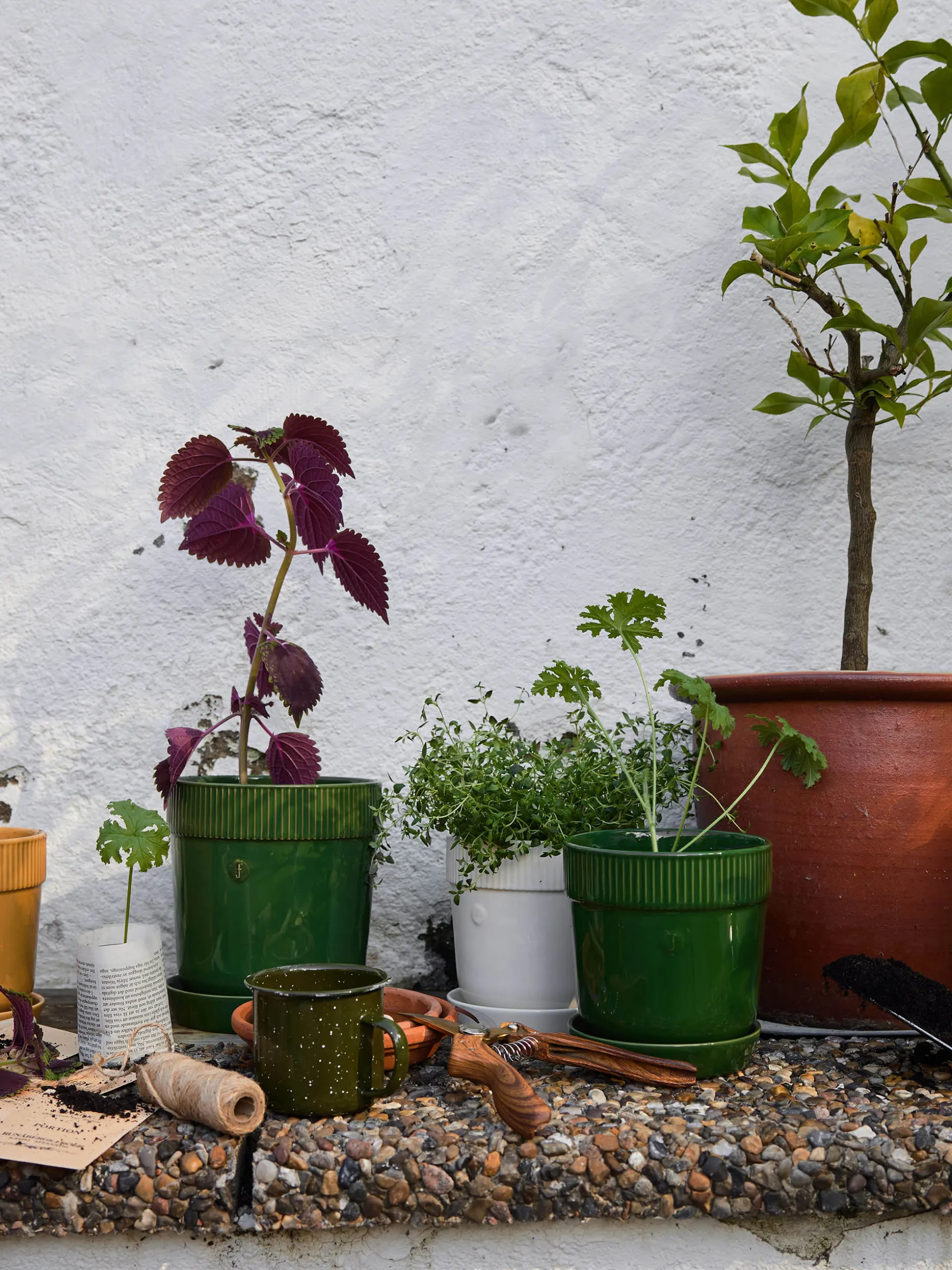 Pot plante m gres moutarde gres 17x19cm ...