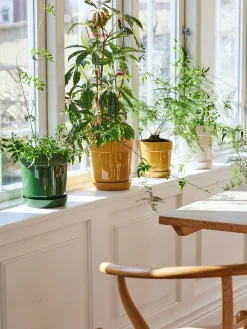 Pot plante m gres moutarde gres 17x19cm ...