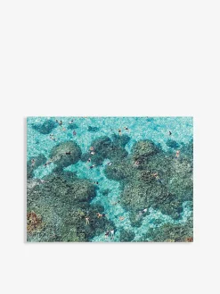 Puzzle biface the beach ski - new mags